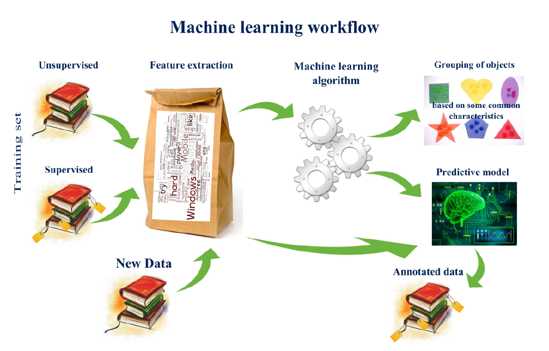 Understanding the Basics of Machine Learning