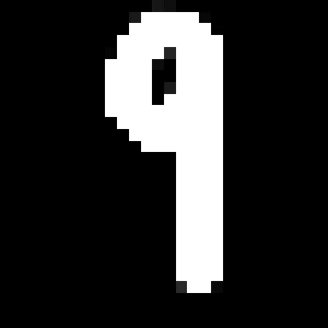 Inverted Image