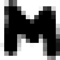 ROI Resized